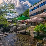 Zazvor